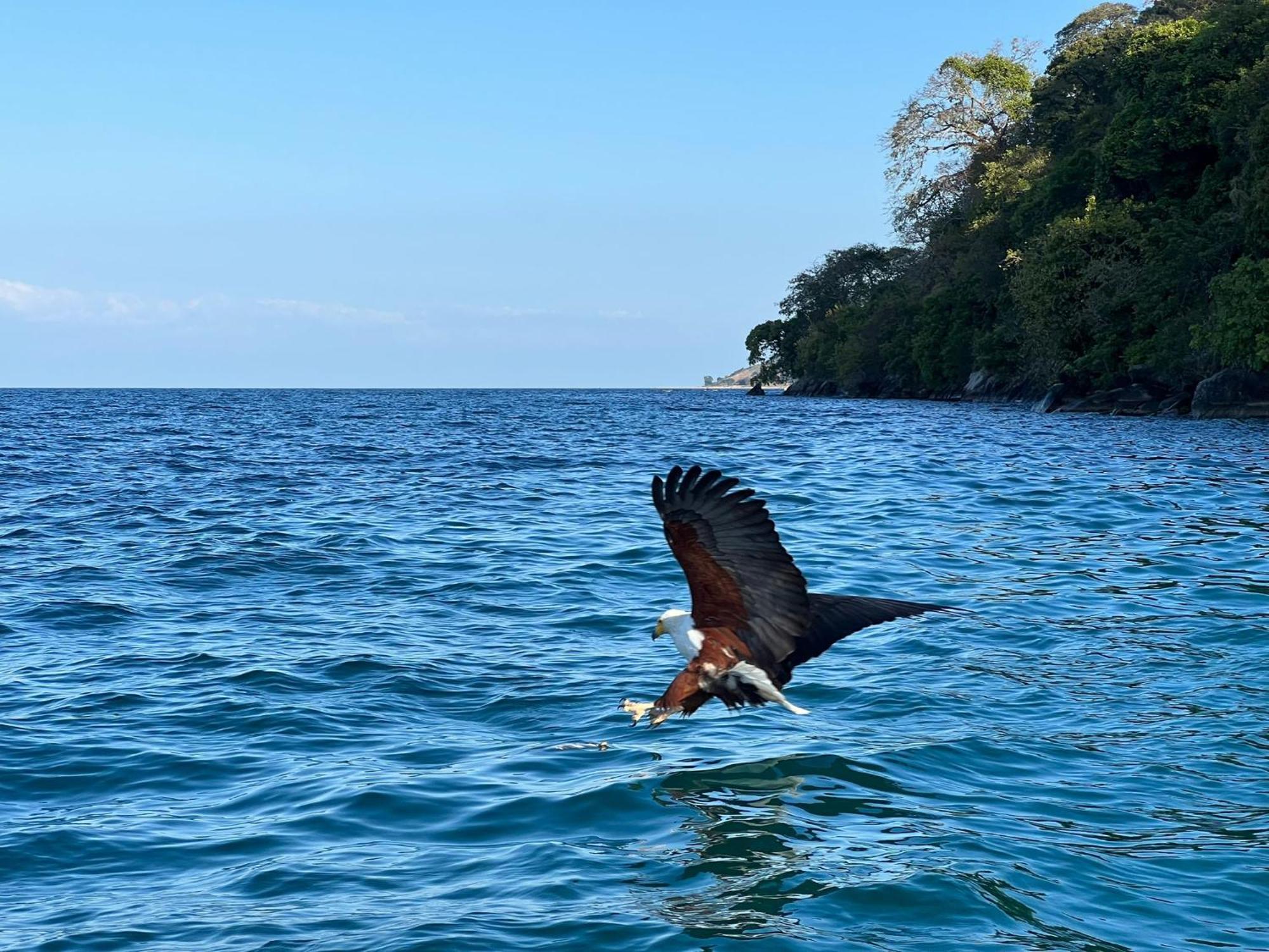 Butterfly Space- A Non-Profit Eco-Lodge Nkhata Bay Luaran gambar