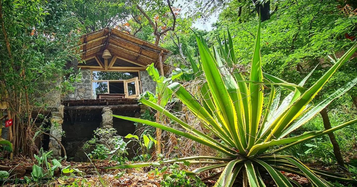 Butterfly Space- A Non-Profit Eco-Lodge Nkhata Bay Luaran gambar
