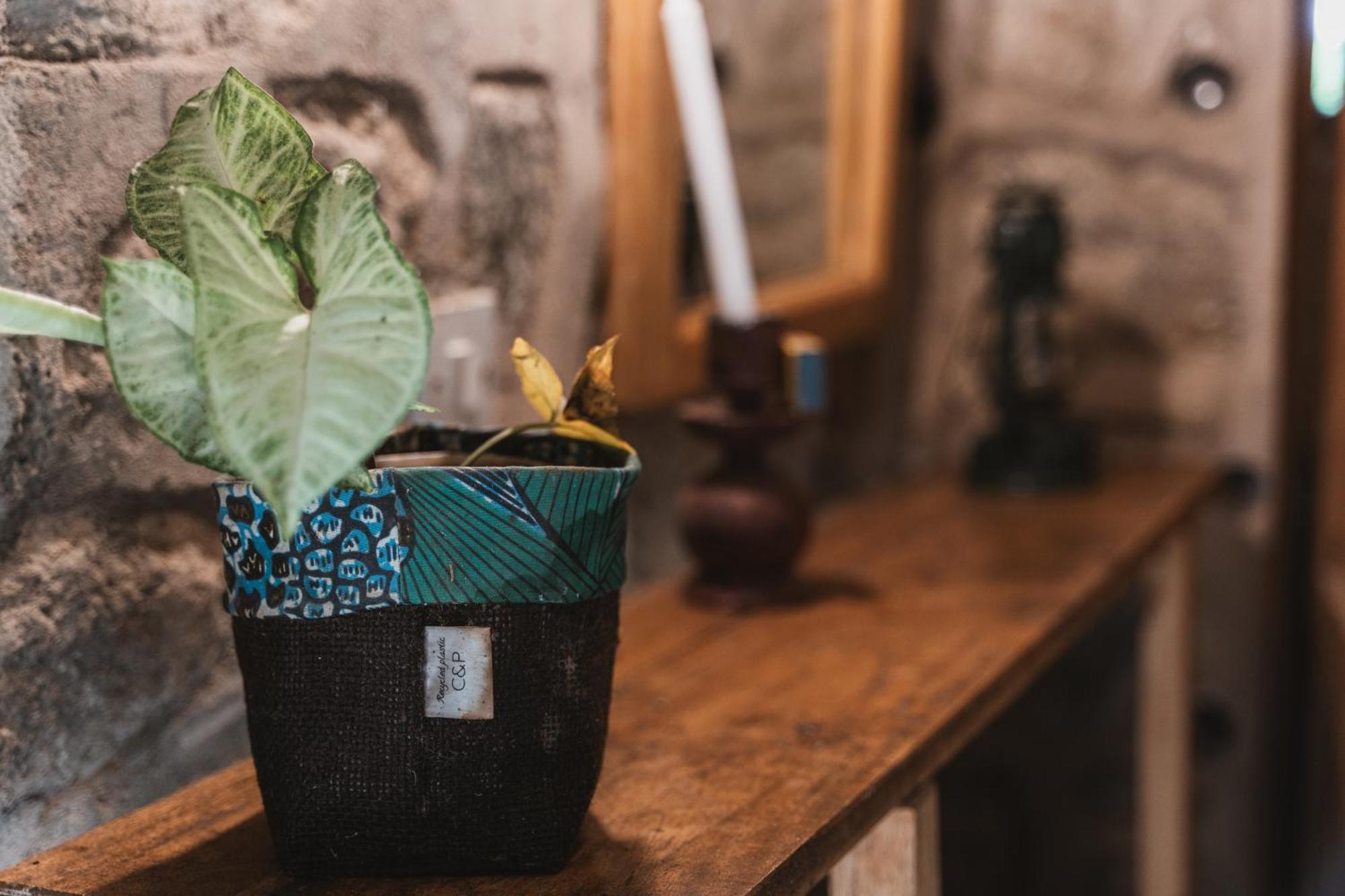 Butterfly Space- A Non-Profit Eco-Lodge Nkhata Bay Luaran gambar