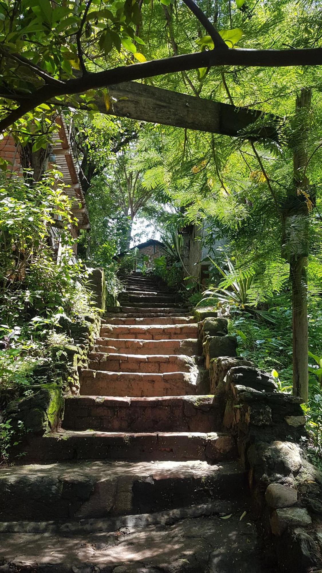 Butterfly Space- A Non-Profit Eco-Lodge Nkhata Bay Luaran gambar