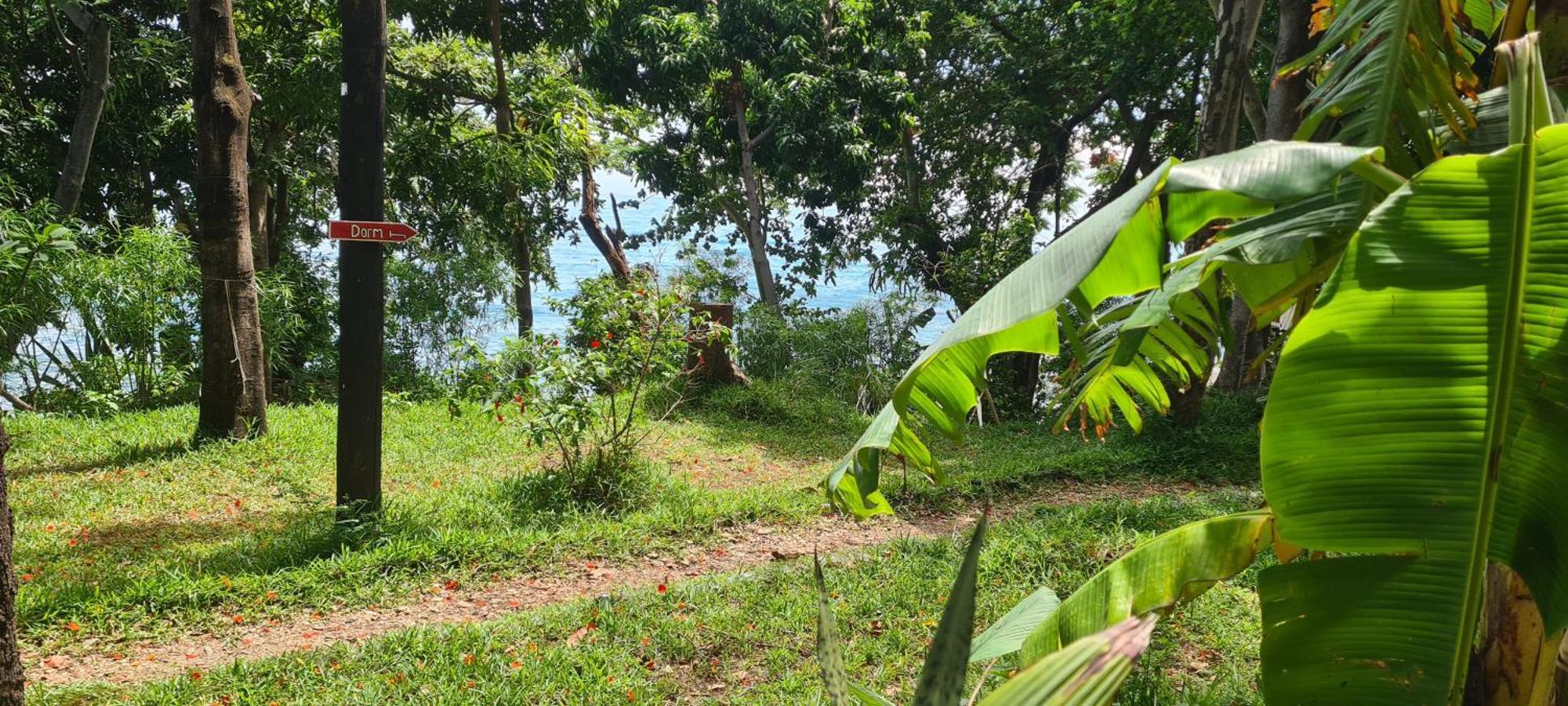 Butterfly Space- A Non-Profit Eco-Lodge Nkhata Bay Luaran gambar